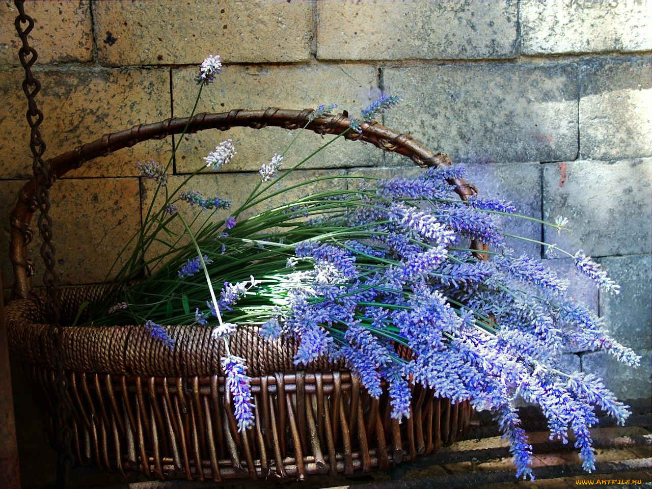 lavender, basket, , 